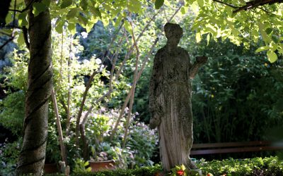 Realizzazione giardini, terrazzi, balconi a Verona