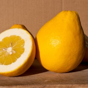 Pera del Commendatore