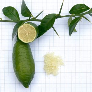 Microcitrus australasica x Fortunella x C. aurantifolia mexicana
