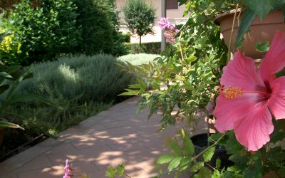 Manutenzione giardini ordinaria o straordinaria a Verona