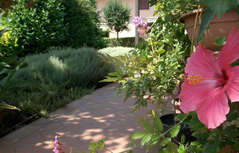 Manutenzione giardini ordinaria o straordinaria a Verona