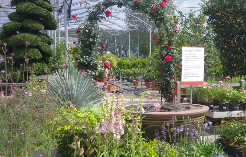 Consulenza e progettazione aree verdi