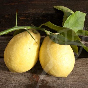 Limone Lemox