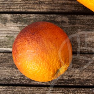 Arancio dolce Sanguinelli