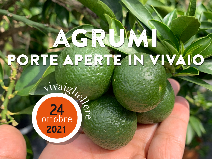 Una giornata interamente dedicata agli Agrumi