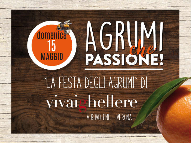 Agrumi che passione!