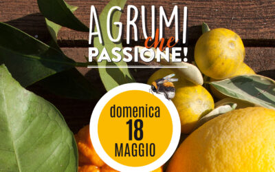 Agrumi che passione 2025