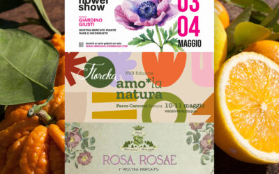 Mostre mercato Agrumi e piante